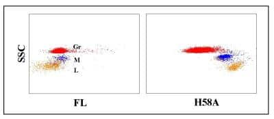 Flow Cytometry: MHC Class I Antibody (H58A) [NBP2-61002]