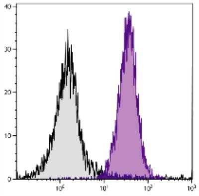 Flow Cytometry: MHC Class I H-2Kk Antibody (16-3-22S) - Azide and BSA Free [NBP1-28202]