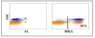 Flow Cytometry: MHC Class II Antibody (H42A) [NBP2-61023]