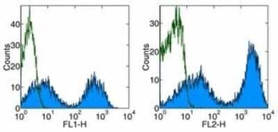 Flow Cytometry: MHC Class II Antibody (HIS19) - BSA Free [NBP2-00462]