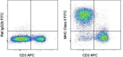 Flow Cytometry: MHC class II (I-A/I-E) Antibody (M5/114.15.2) - BSA Free [NBP1-43312]