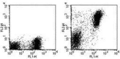 Flow Cytometry: MHC class II (I-A/I-E) Antibody (M5/114.15.2) - BSA Free [NBP1-43312]