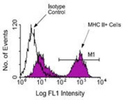 Flow Cytometry: MHC Class II Antibody (NIMR-4) - Azide and BSA Free [NBP1-28158]