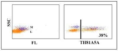 Flow Cytometry: MHC Class II Antibody (P-TH81A5) [NBP2-61033]