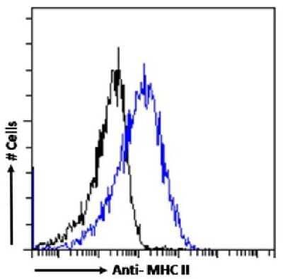 Flow Cytometry: MHC Class II Antibody (P7/7) - Chimeric - Azide and BSA Free [NBP3-09015]