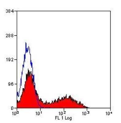 Flow Cytometry: MHC Class II RT1B Antibody (OX-6) - Azide and BSA Free [NBP2-80849]
