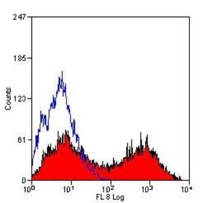 Flow Cytometry: MHC Class II RT1B Antibody (OX-6) - Azide and BSA Free [NBP2-80849]