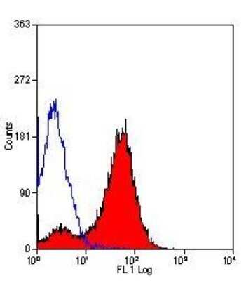 Flow Cytometry: MHC Class II RT1B Antibody (OX-6) - Azide and BSA Free [NBP2-80849]