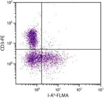 Flow Cytometry: MHC Class II antigen I A beta 1 Antibody (25-9-3) [NBP1-28162]