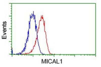 Flow Cytometry: MICAL1 Antibody (OTI6H4) [NBP2-03135]