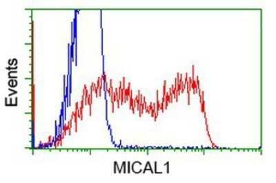 Flow Cytometry: MICAL1 Antibody (OTI6H4) - Azide and BSA Free [NBP2-72670]