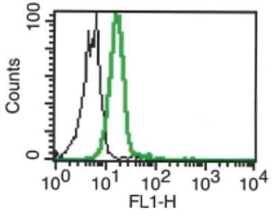 Flow Cytometry: MICB Antibody (B-D54) - Azide and BSA Free [NBP3-18102]