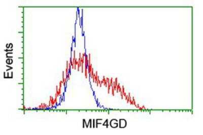 Flow Cytometry: MIF4GD Antibody (OTI4C11) [NBP2-01876]