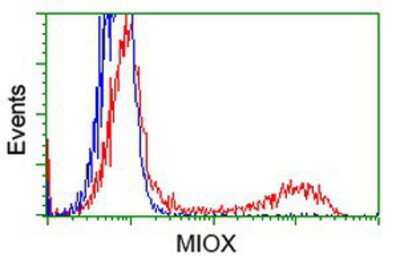 Flow Cytometry: MIOX Antibody (OTI4G7) [NBP2-02771]
