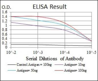 ELISA: MKK7/MEK7 Antibody (4E5) - BSA Free [NBP2-37542]