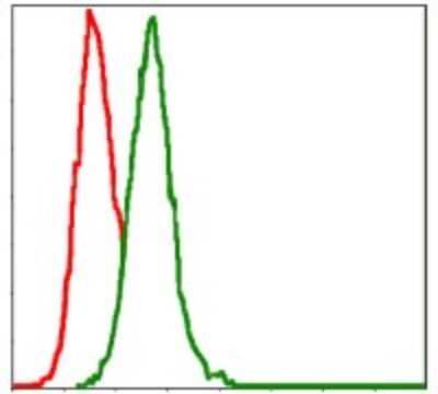 Flow Cytometry: MKK7/MEK7 Antibody (4E5) - BSA Free [NBP2-37542]