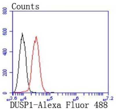 Flow Cytometry: MKP-1/DUSP1 Antibody (JJ0930) [NBP2-67909]