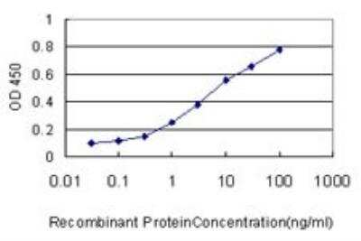 ELISA: MKP-3/DUSP6 Antibody (3G2) [H00001848-M01]