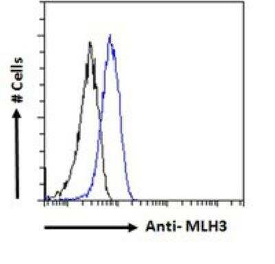 Flow Cytometry: MLH3 Antibody [NBP2-78702]