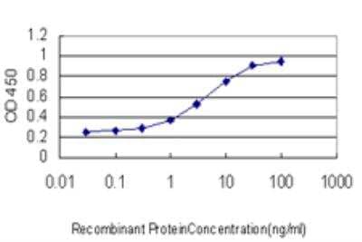 ELISA: MLLT11 Antibody (2A9-1B7) [H00010962-M01]