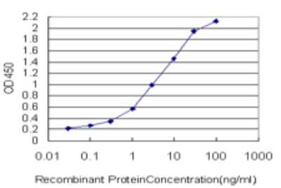 ELISA: MLLT11 Antibody (2A9-1B7) [H00010962-M01]