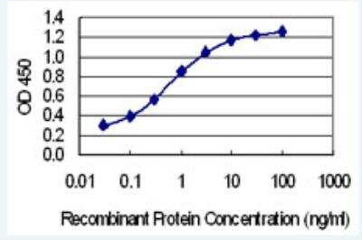 ELISA: MLXIP Antibody (5F3) [H00022877-M06-100ug]