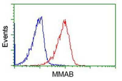 Flow Cytometry: MMAB Antibody (OTI2G5) [NBP2-03417]