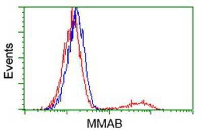 Flow Cytometry: MMAB Antibody (OTI2G5) [NBP2-03417]