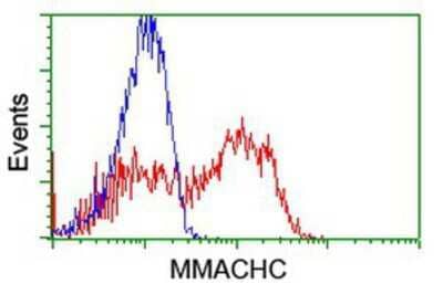 Flow Cytometry: MMACHC Antibody (OTI4E9) [NBP2-01812]