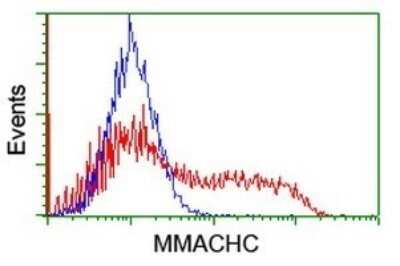 Flow Cytometry: MMACHC Antibody (OTI1A4) - Azide and BSA Free [NBP2-72738]