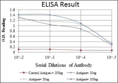 ELISA: MMP-1 Antibody (6A5) - BSA Free [NBP2-22123]
