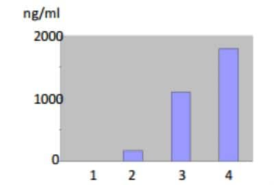 ELISA: MMP-12 Antibody (701E4.03) [DDX0284P-100]