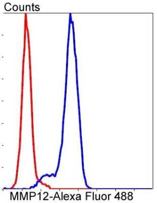 Flow Cytometry: MMP-12 Antibody (SR03-23) [NBP2-67344]