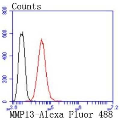 Flow Cytometry: MMP-13 Antibody (JF0893) [NBP2-66954]