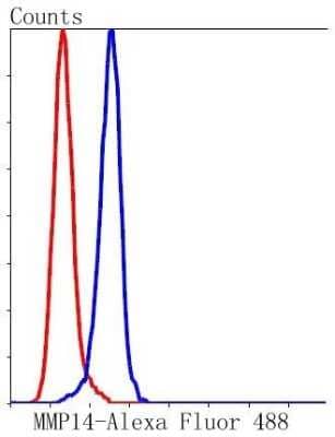 Flow Cytometry: MMP-14/MT1-MMP Antibody (3-F7) [NBP2-67415]