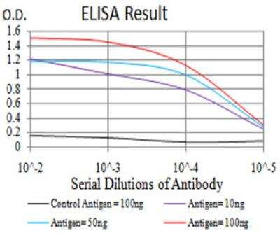 ELISA: MMP-14/MT1-MMP Antibody (6A11D1) - BSA Free [NBP2-52512]
