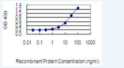ELISA: MMP21 Antibody (2F10) [H00118856-M01-100ug]