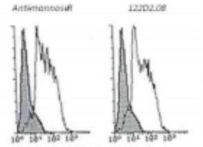 Flow Cytometry: MMR/CD206/Mannose Receptor Antibody (122D2.08) [DDX0380P-100]