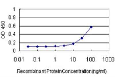 ELISA: MNK1 Antibody (2H8) [H00008569-M08]