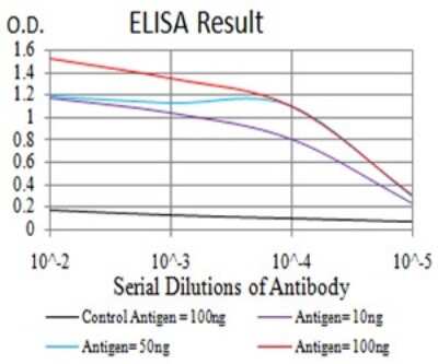 ELISA: MOBKL1B Antibody (3E7B2) - BSA Free [NBP2-61874]