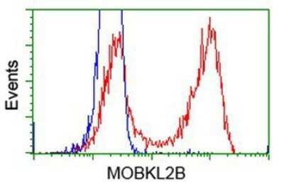 Flow Cytometry: MOBKL2B Antibody (OTI6C6) - Azide and BSA Free [NBP2-72748]