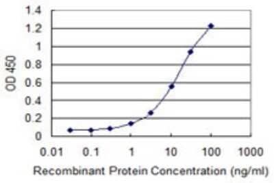 ELISA: MOBP Antibody (4C2) [H00004336-M08]