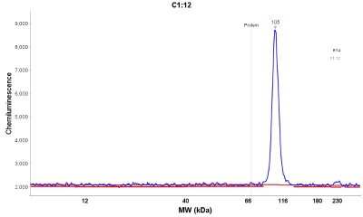Simple Western: MOCOS Antibody [NBP2-14243]