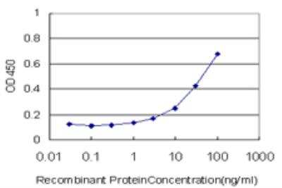 ELISA: MOX1 Antibody (4B11) [H00004222-M07]