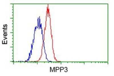Flow Cytometry: MPP3 Antibody (OTI8F1) - Azide and BSA Free [NBP2-72771]