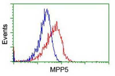 Flow Cytometry: PALS1/MPP5 Antibody (OTI2D3) [NBP2-01880]