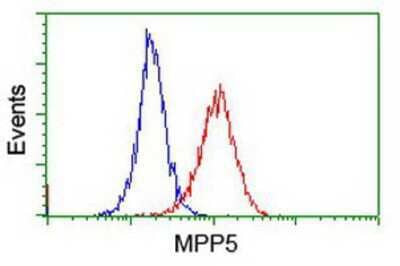 Flow Cytometry: PALS1/MPP5 Antibody (OTI2D3) [NBP2-01880]