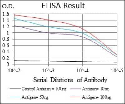 ELISA: MRP4/ABCC4 Antibody (2D2A9) - BSA Free [NBP2-37350]