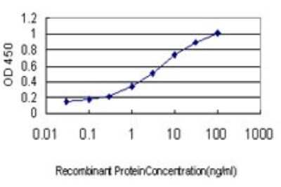 ELISA: MRP6 Antibody (1E6) [H00000368-M01]