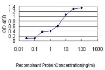 ELISA: MRPL12 Antibody (3B12-1A3) [H00006182-M01]
